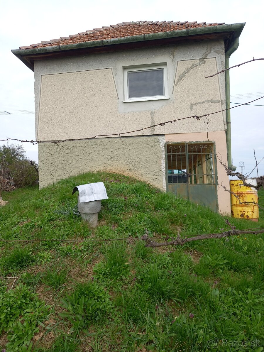 Viničný Hajlok - 13