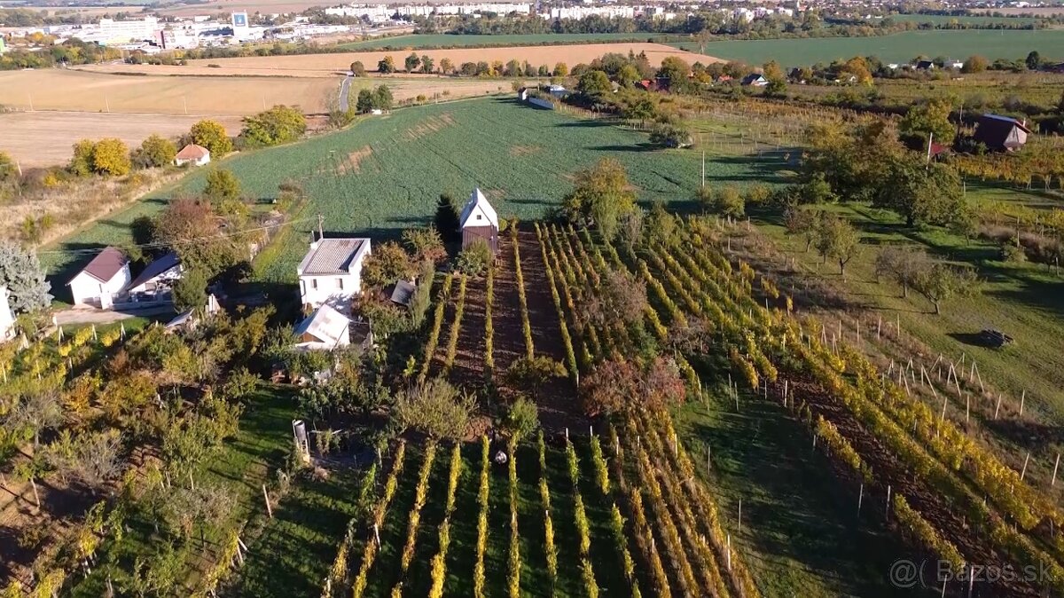 Rekreačný domček s vinicou vo Vrábľoch na predaj - 13