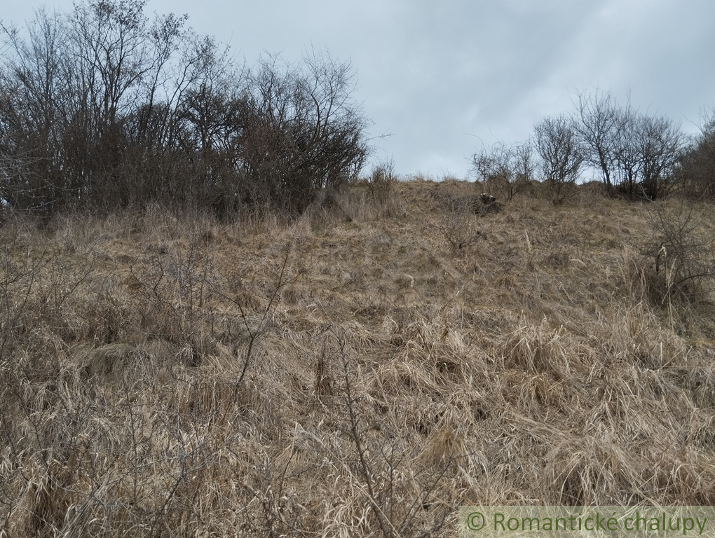 Rozľahlý pozemok so starším domom v Hornej Štubni (2714 m² - 13