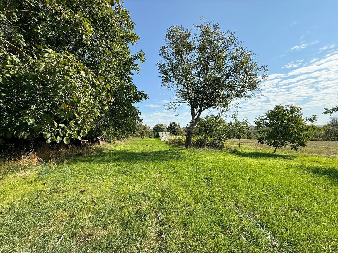 Na predaj rodinný dom s veľkým pozemkom – Obec Paňa (okres N - 13