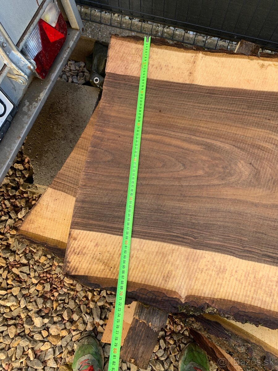 Orechove forsne z krásnou kresbou - 13