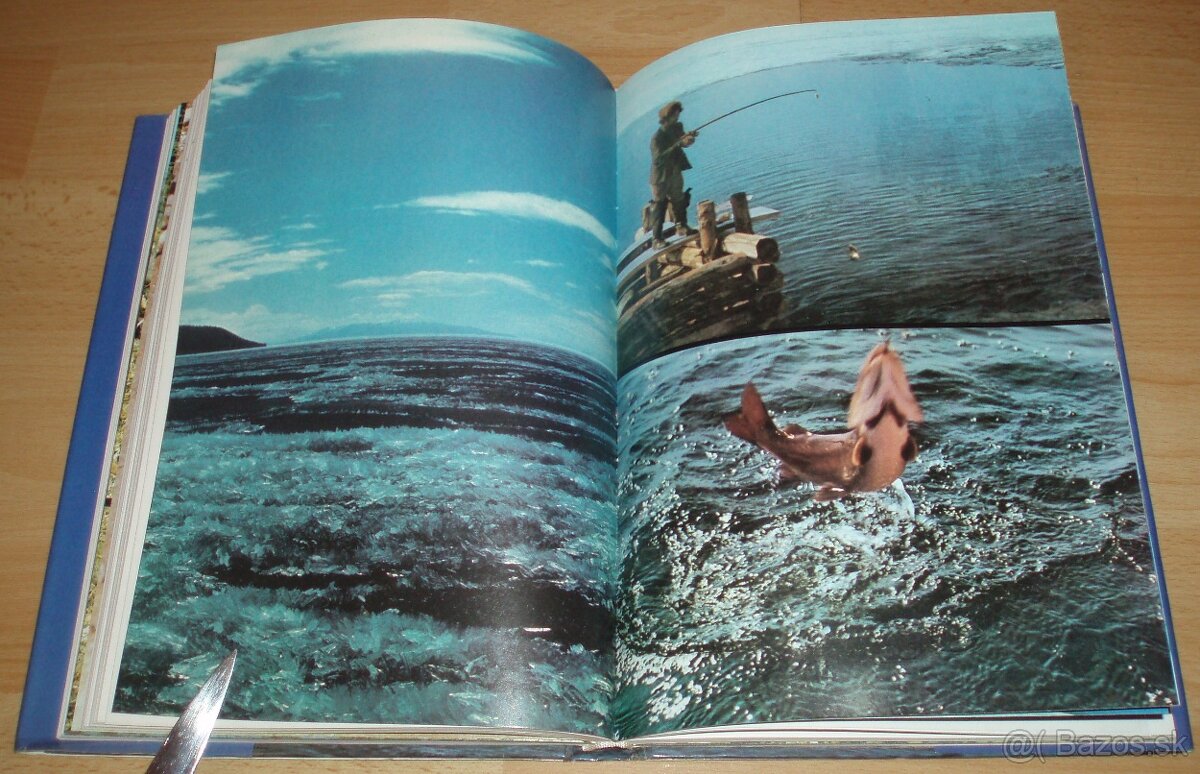 Černý sobol, hnědý medvěd - 13