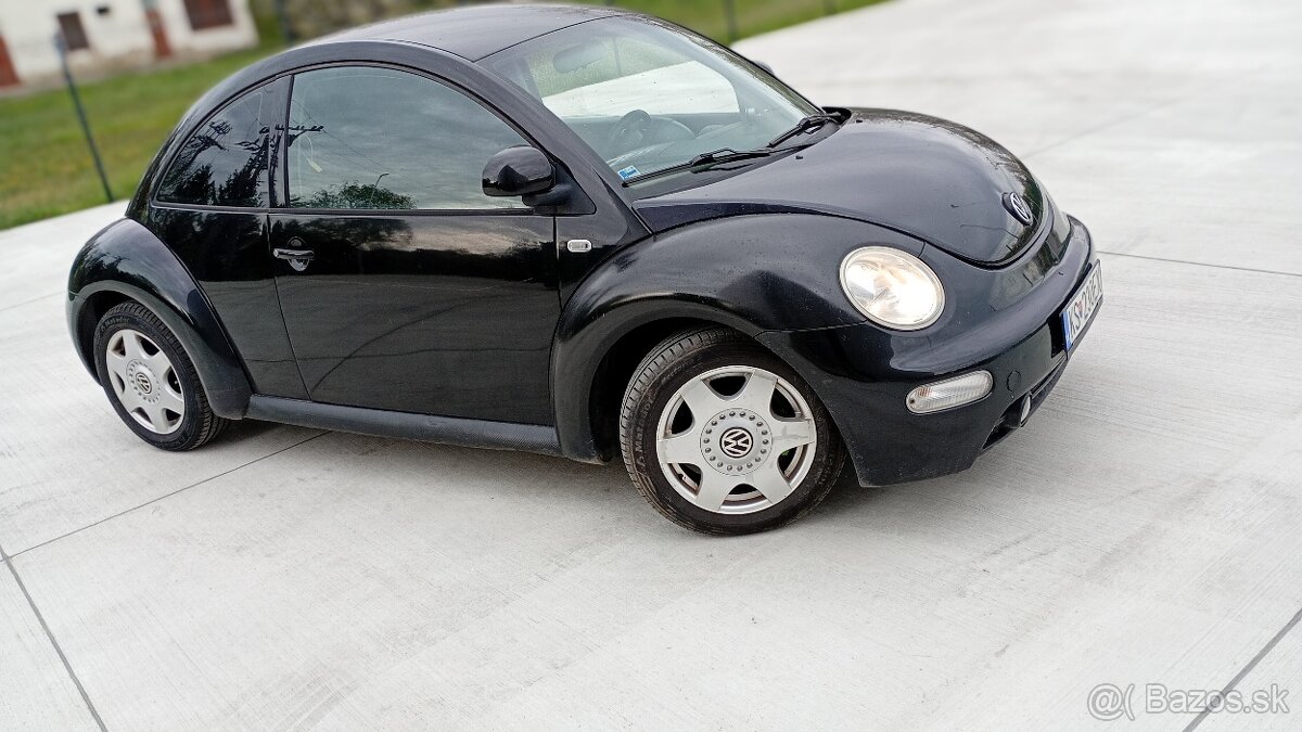 Beetle - 13