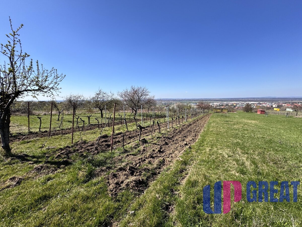 Pozemok s nádherným výhľadom na Skalicu–vinohrad so sklepom - 13