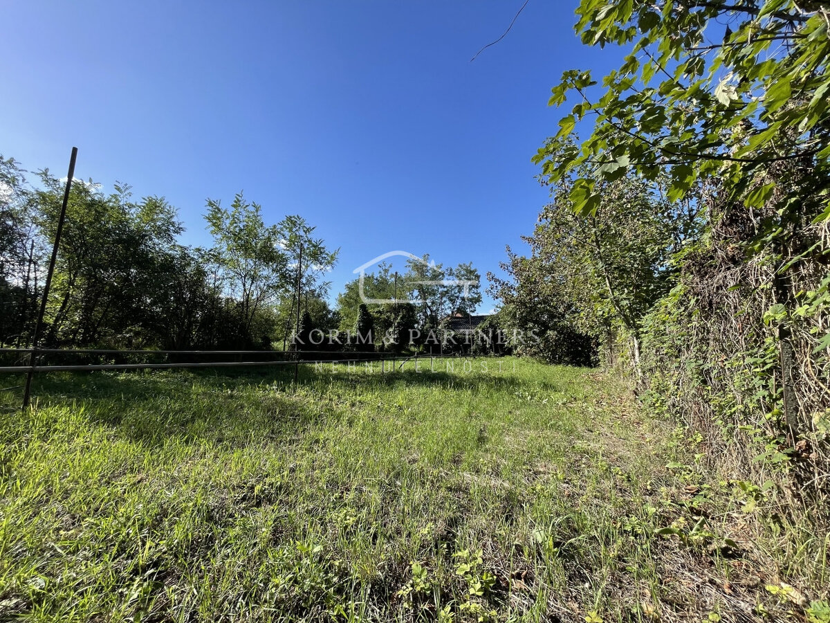 Klasický sedliacky dom s potenciálom, Marcelová - 13