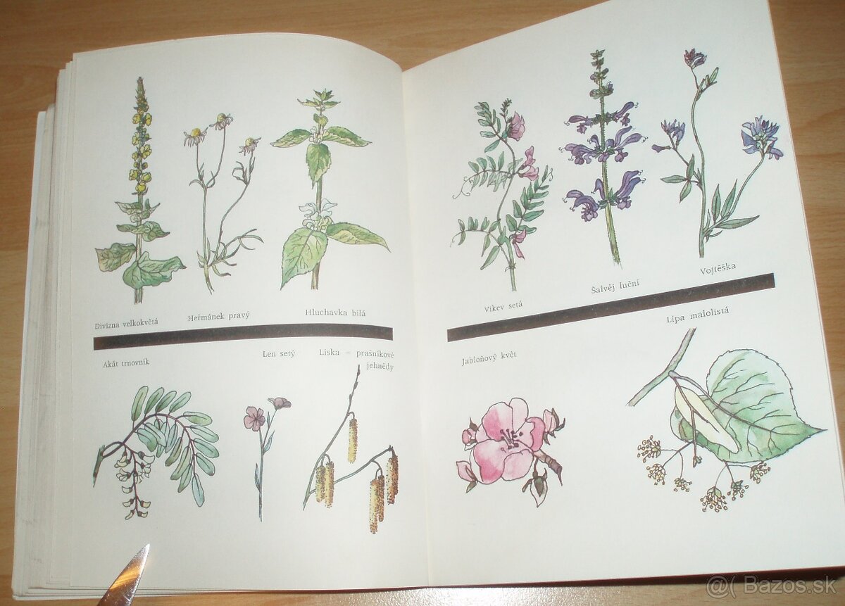 Učíme se včelařit - 13