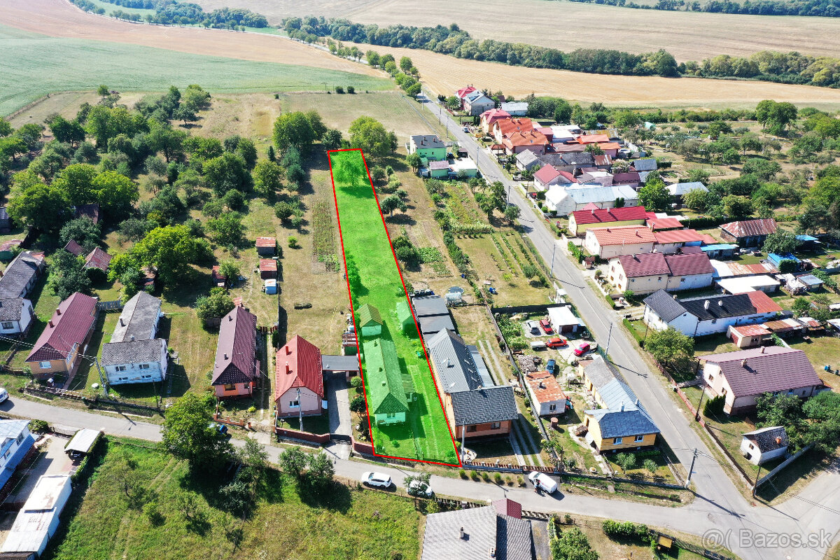Fotografia 13