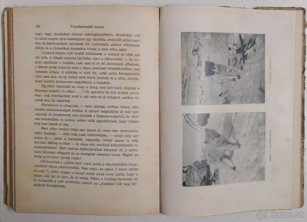 A sarkvidék remetéje 1916 - 13