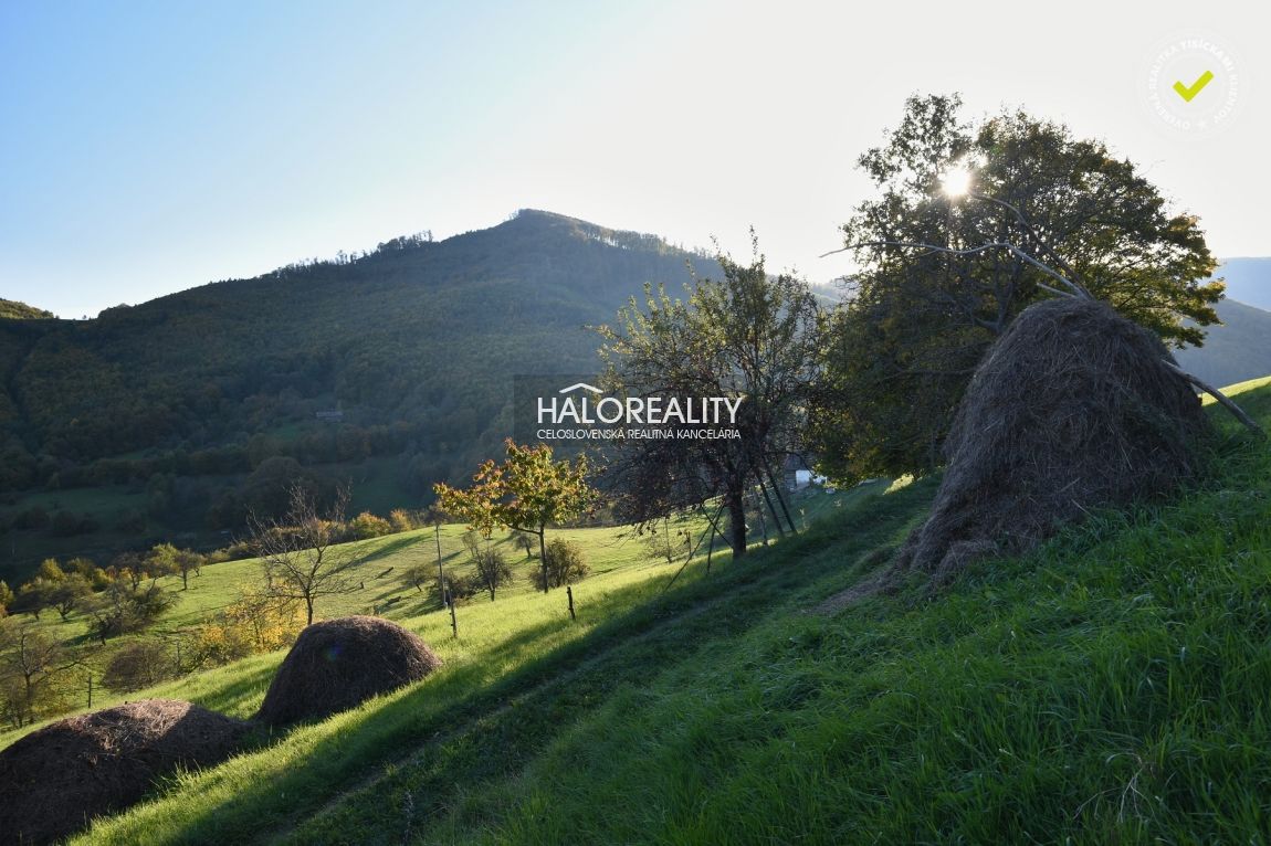 HALO reality - Predaj, rodinný dom Nová Baňa, pozemok 35.813 - 13