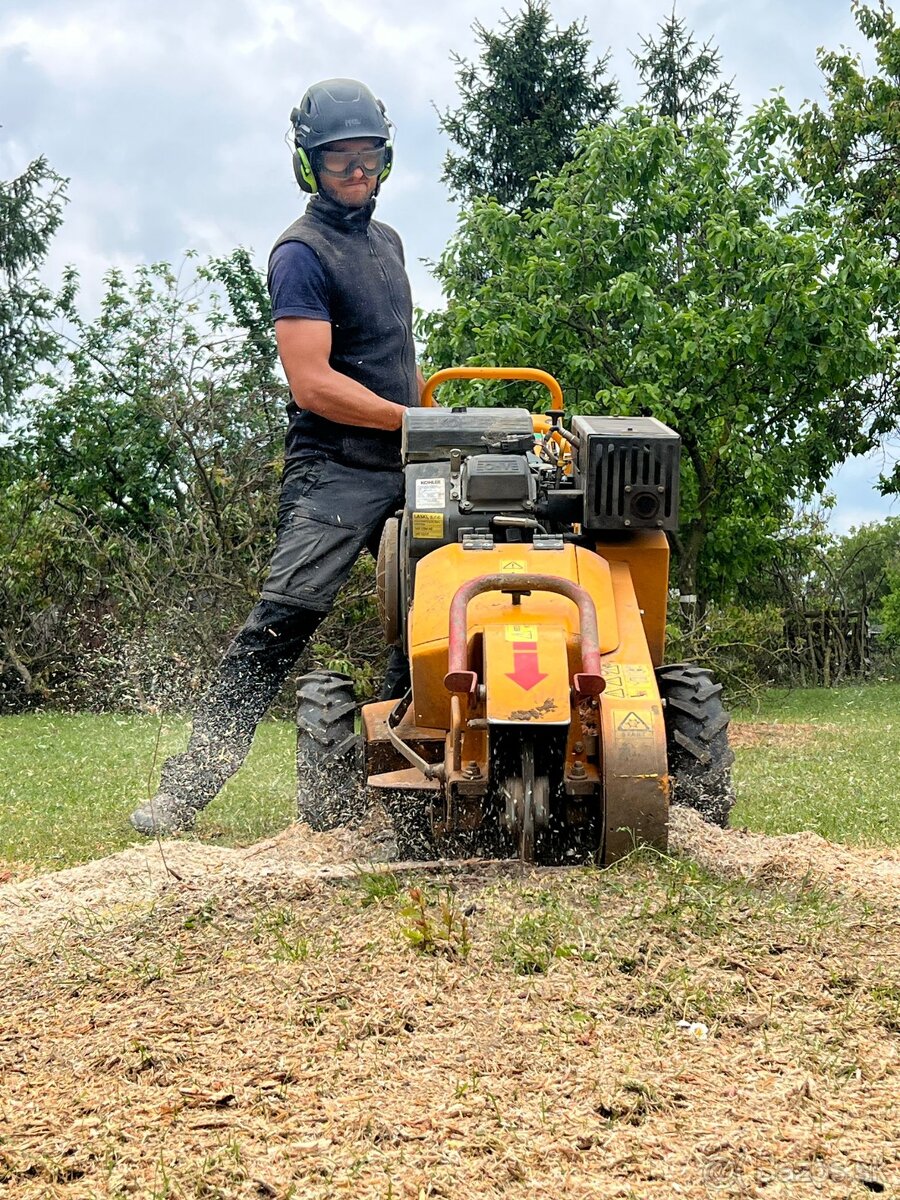 Pílenie stromov, arboristika, výrub stromov, orez stromov - 13