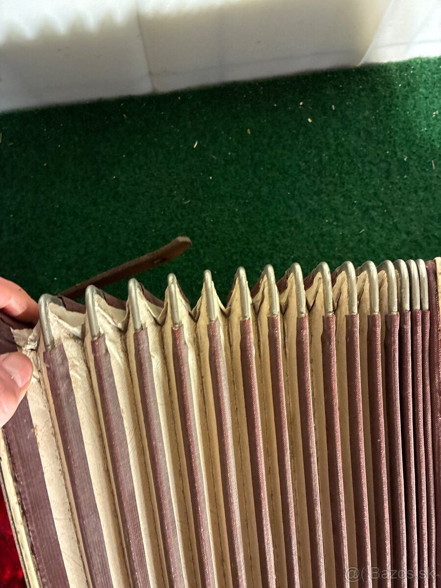 Harmonika Weltmeister - 13