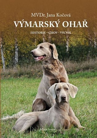 Mačky, psy, zvieratá, chov - 13