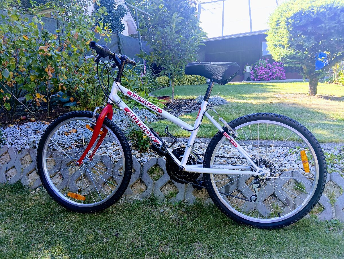 Author -detsky bicykel - 13
