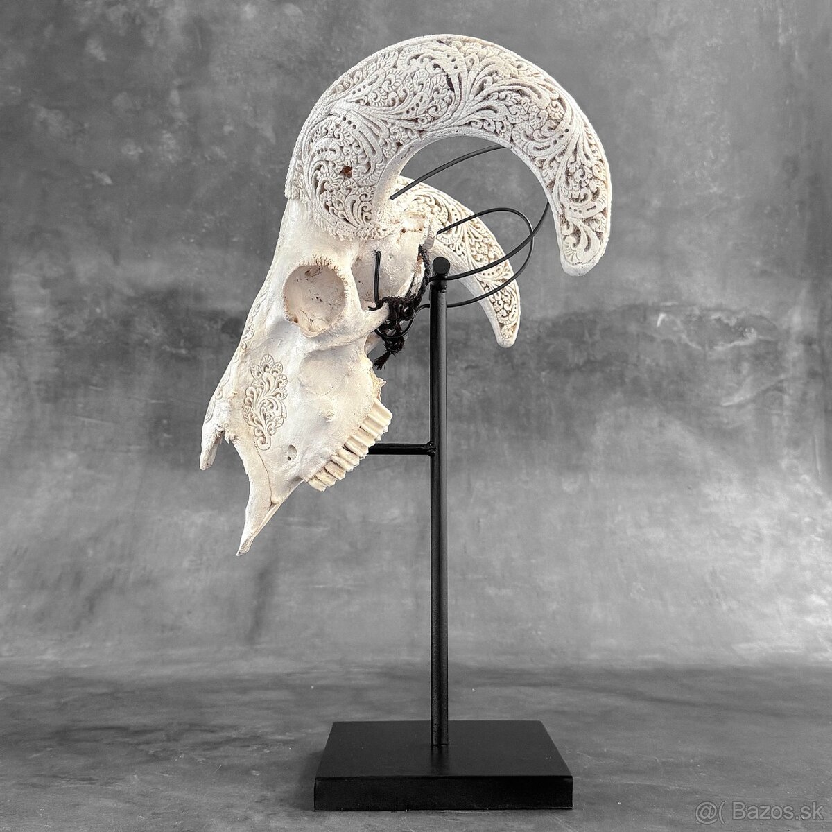 Vyrezávaná lebka barana na kovovom stojane - motív Infinity - 13