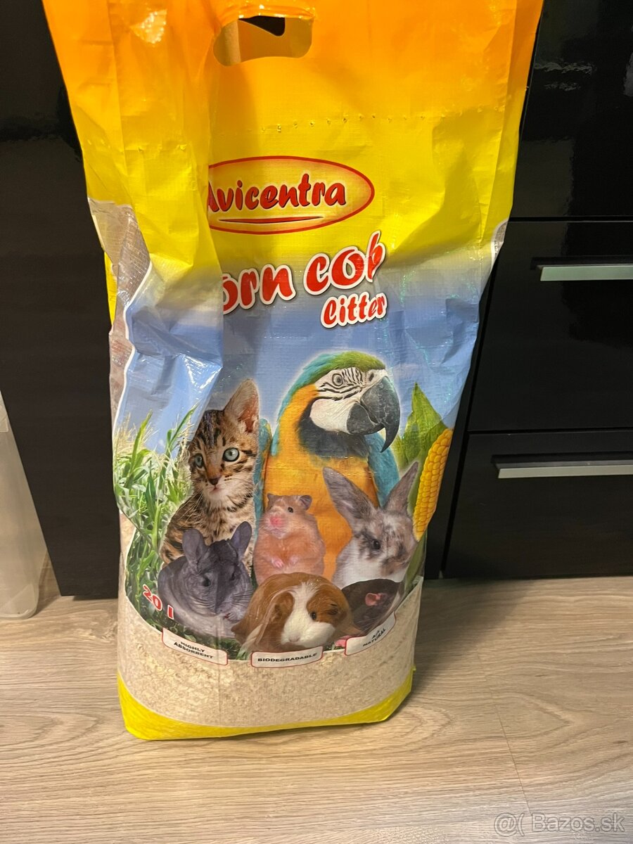 Agama bradatá + terárium - 13