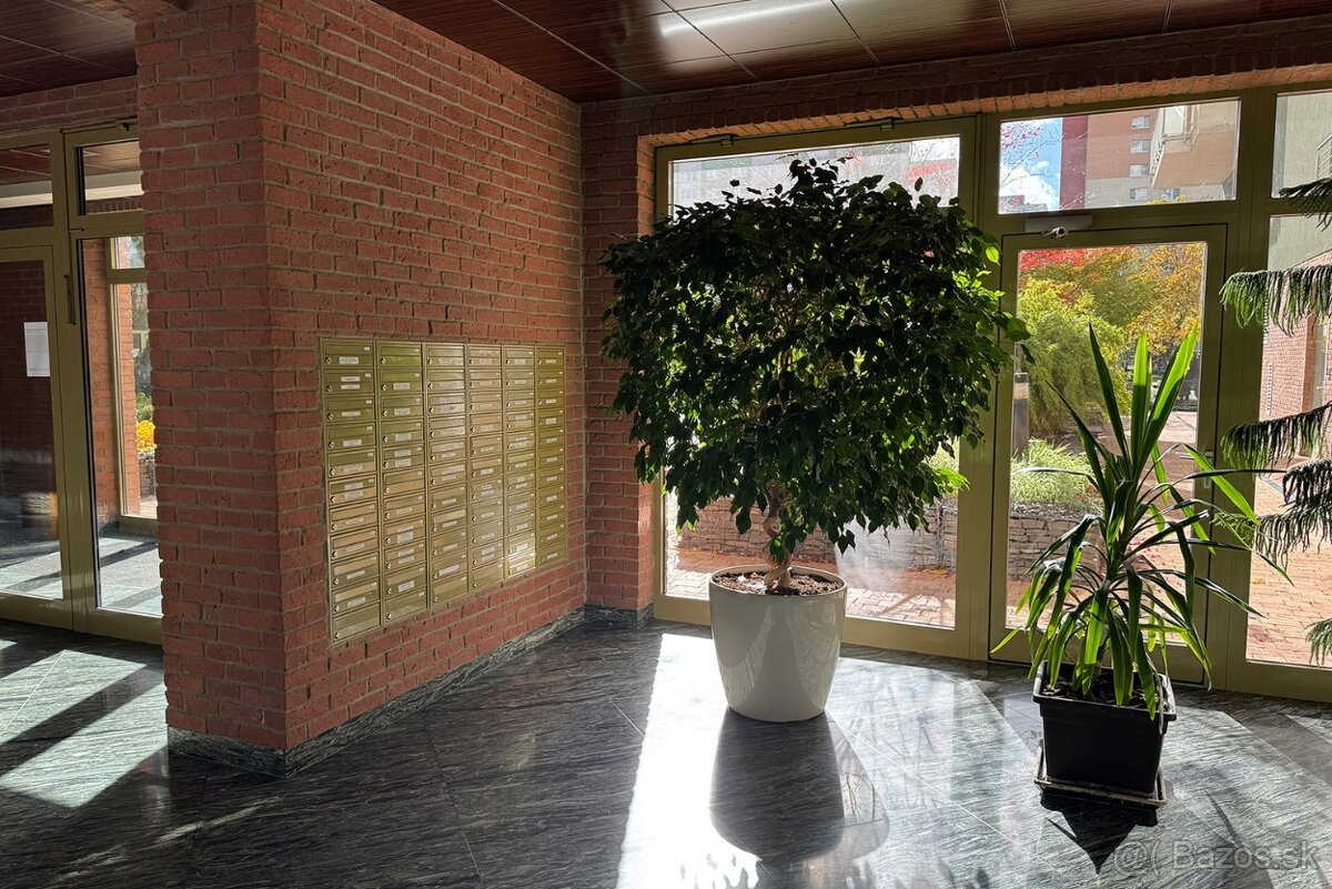 IHNEĎ VOĽNÝ | 2,5 - izbový byt so samostatnou garážou - 13