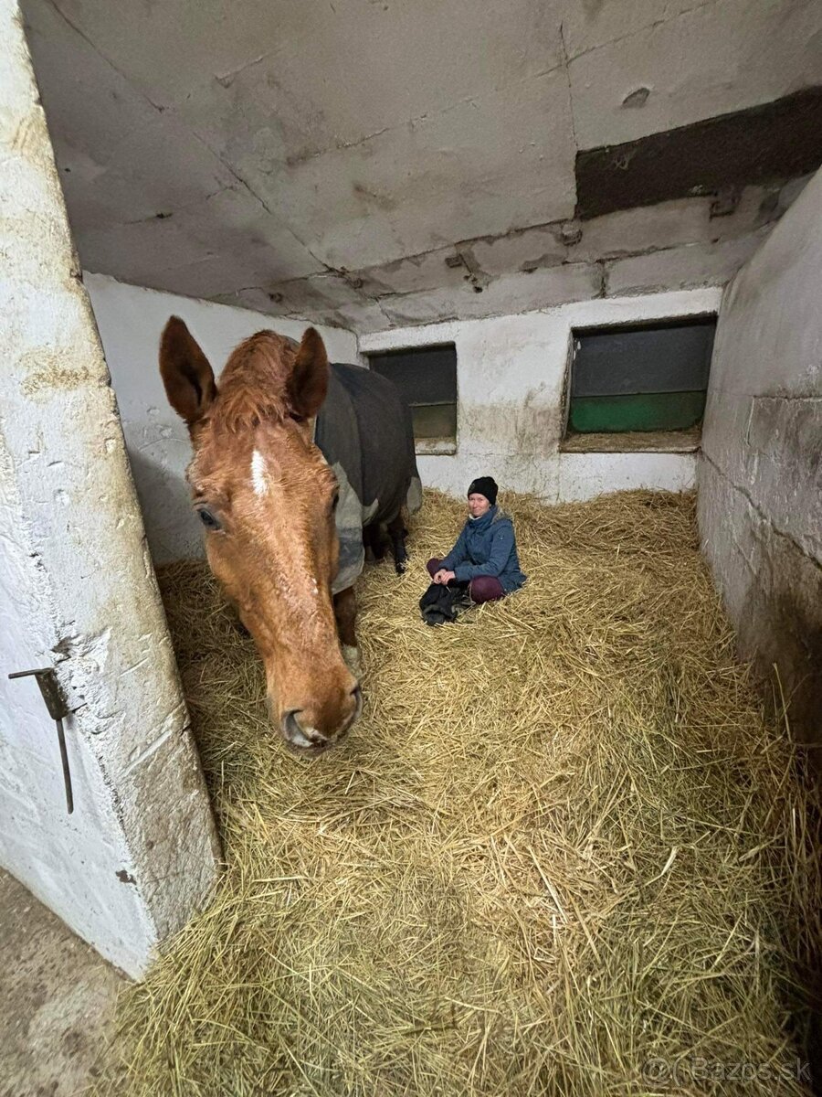 Ponúkame ustajnenie - 13