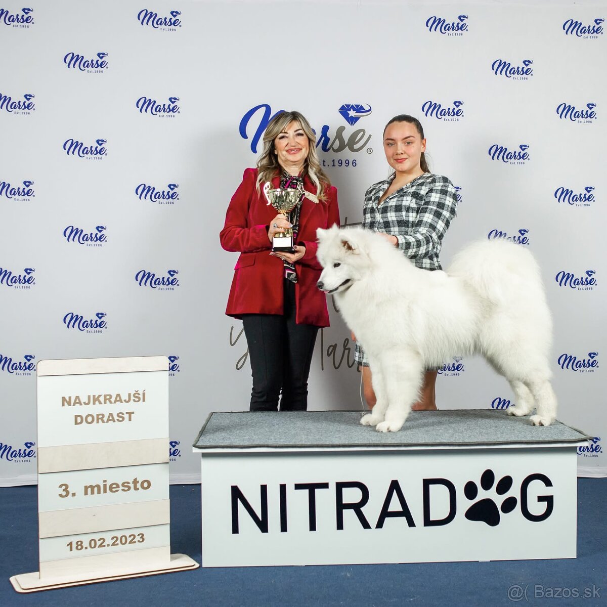 Samojed s PP - psík - šteniatko - 13