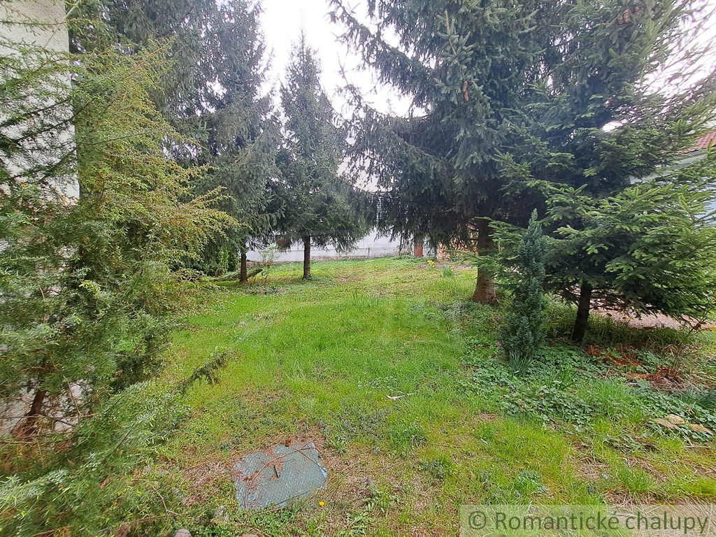 Fotografia 13