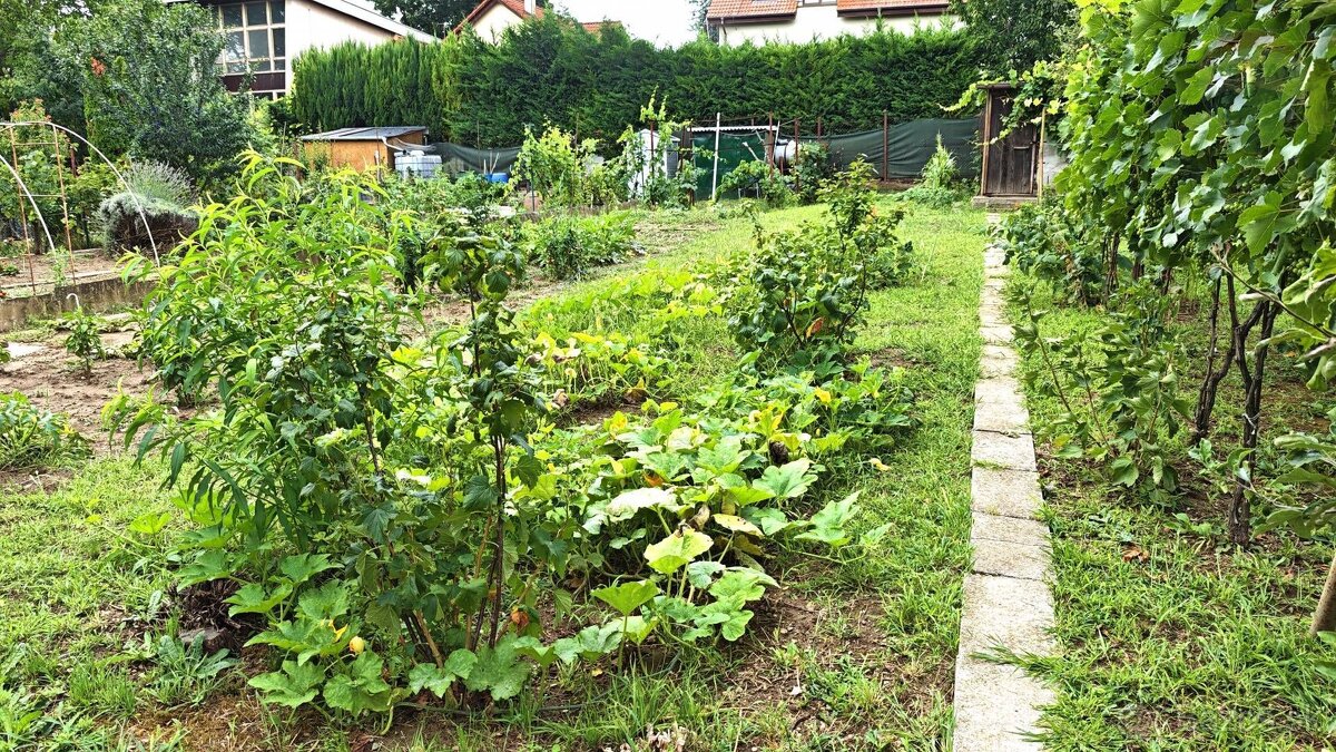 REZERVOVANÉ Predaj 2 izbový byt Nitra Čermáň - 13