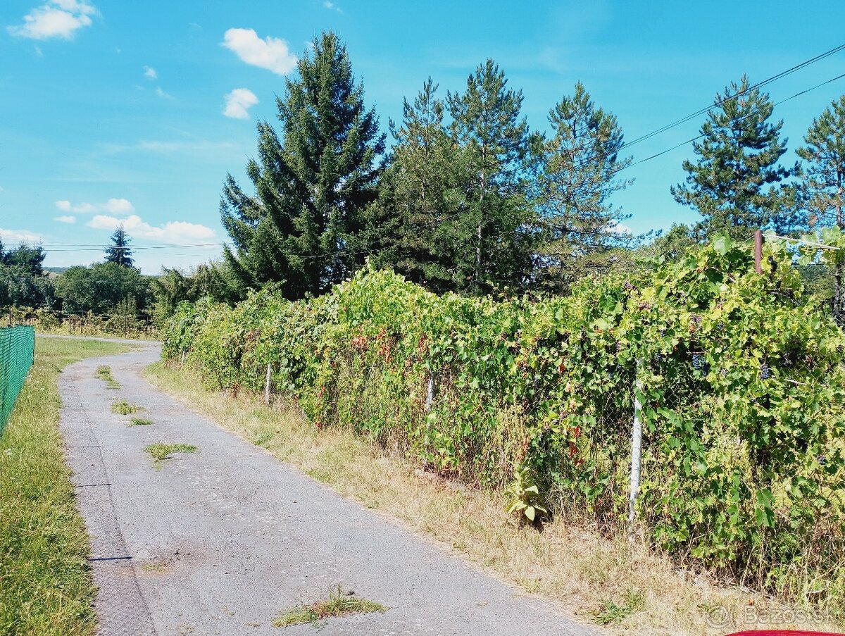 Domček na rovinatom pozemku s výmerou 1192 m2 pri Lučenci. - 13