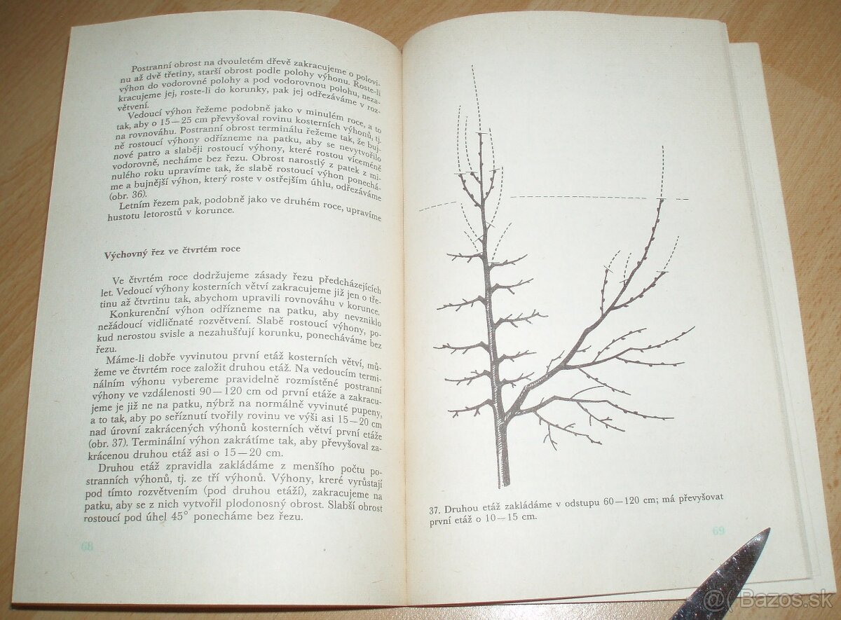 Řez ovoných dřevin - 13