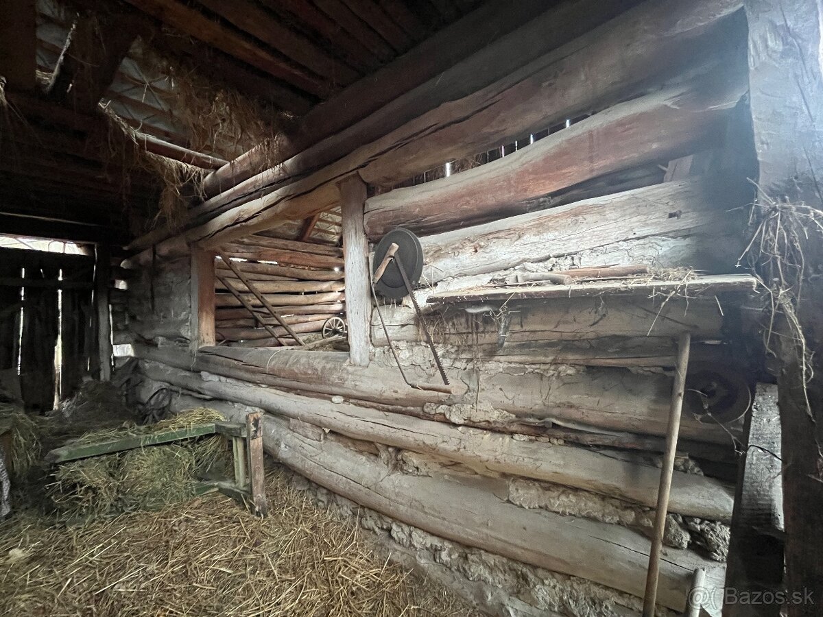 Stare drevo na predaj - 13