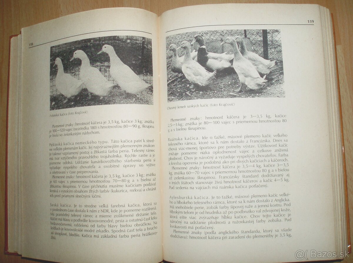 1000 rád drobnochovateľom - 13