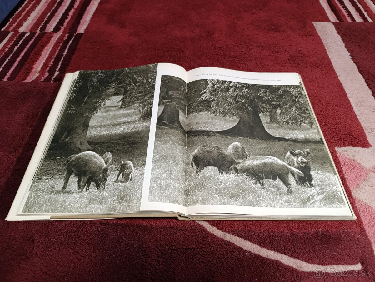 Poľovnícke knihy - 13
