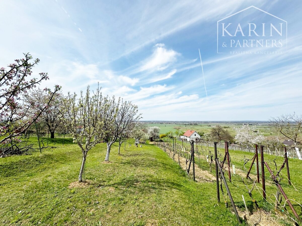 Vinohradnícky domček po reko aj s vinohradom, za Líštinami - 13
