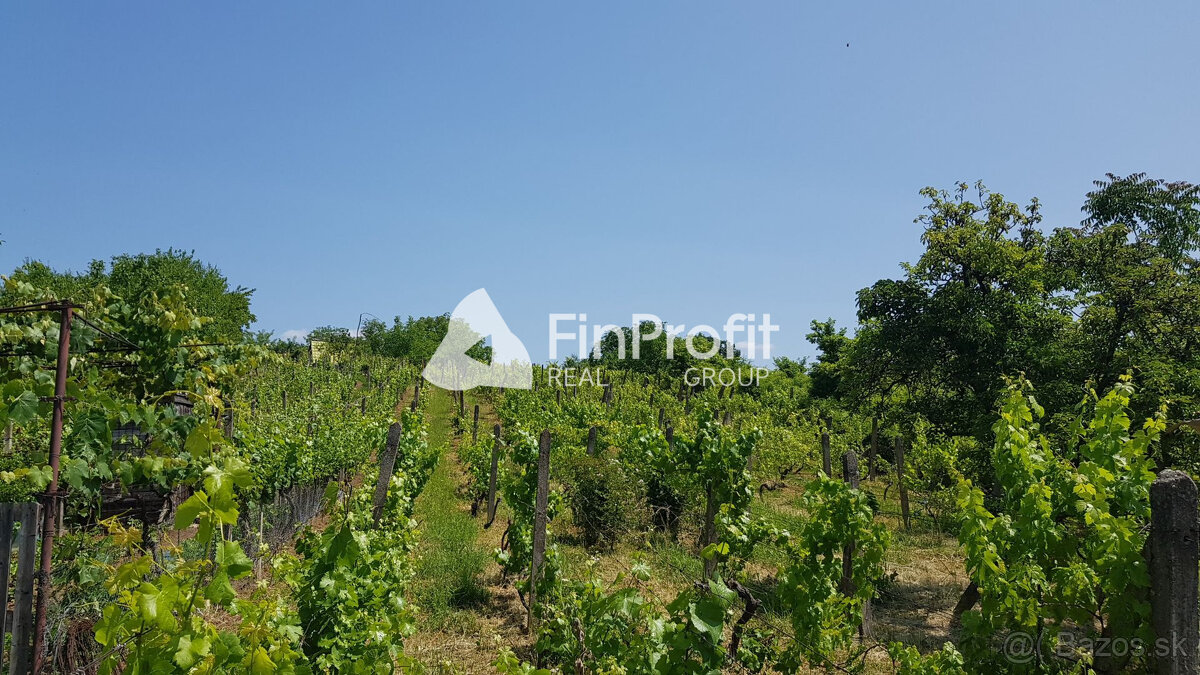 Predám dva vinohradnícke domy s pozemkami medzi vinohradmi p - 13