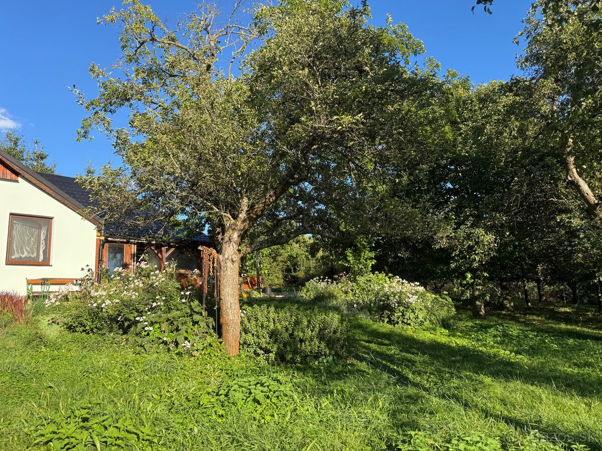 Rodinný dom s jazierkom pod lesom - 13