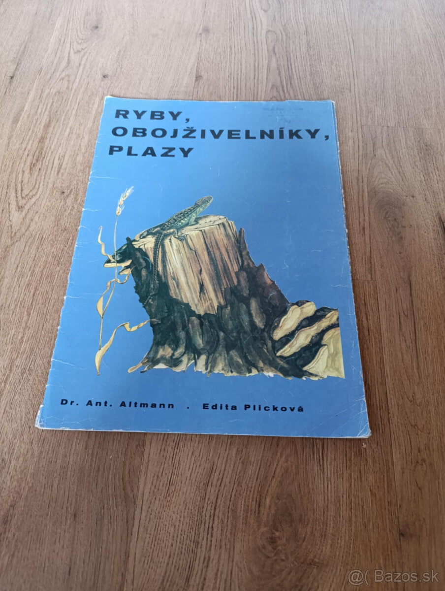 Staré školské pomôcky - 13