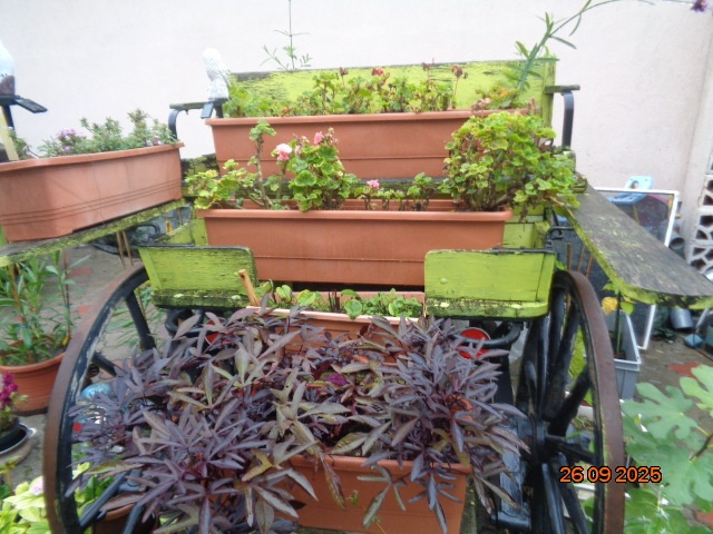 Brička-stojan na kvety - 13