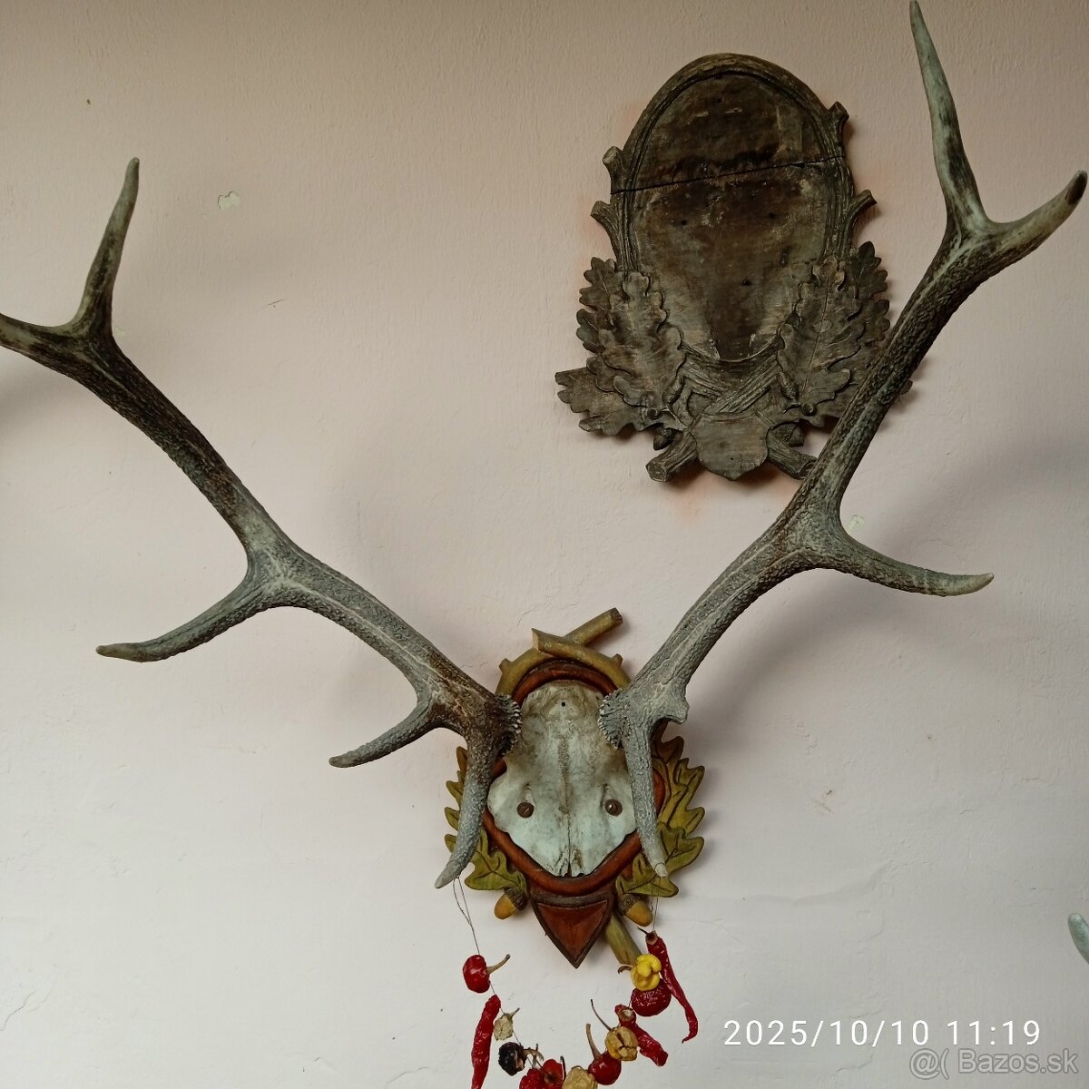 Trofeje a,parozie - 13