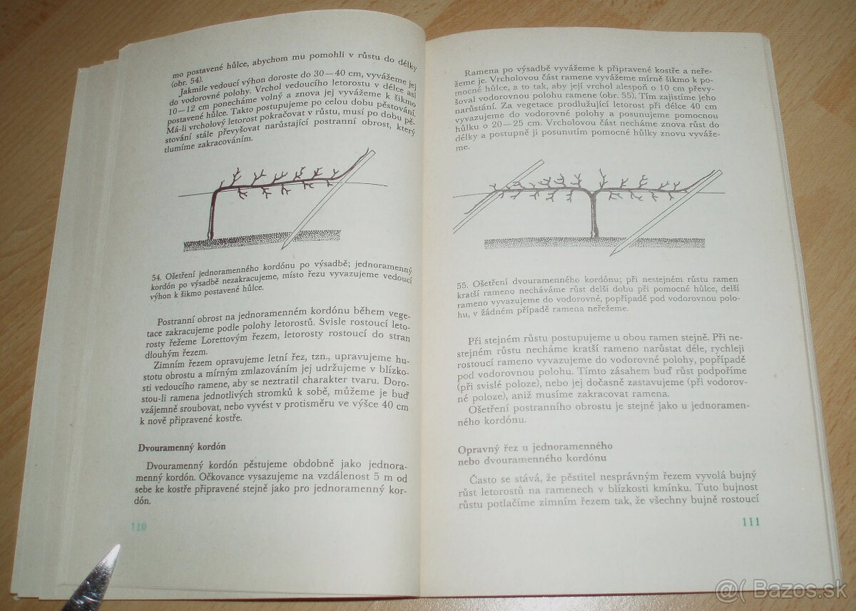 Řez ovoných dřevin - 13