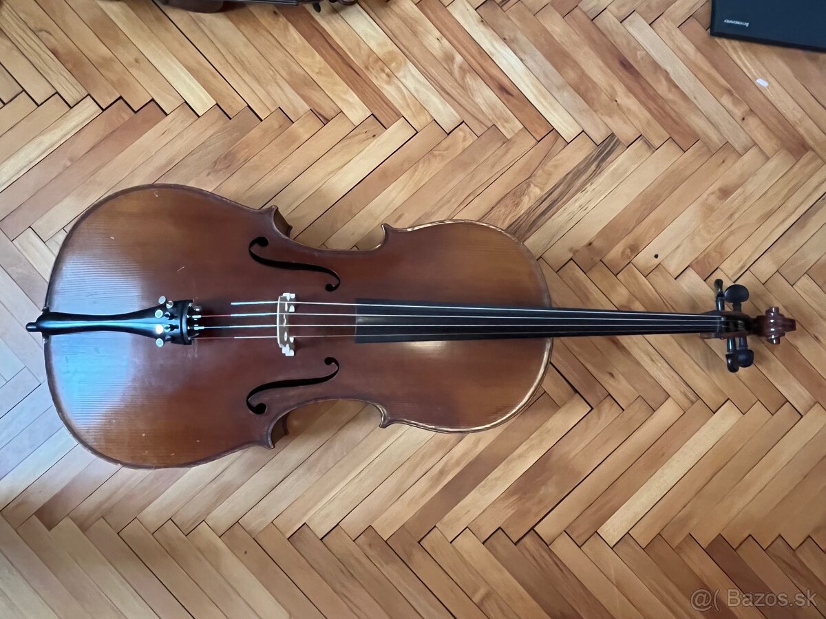 Violomcello - 13