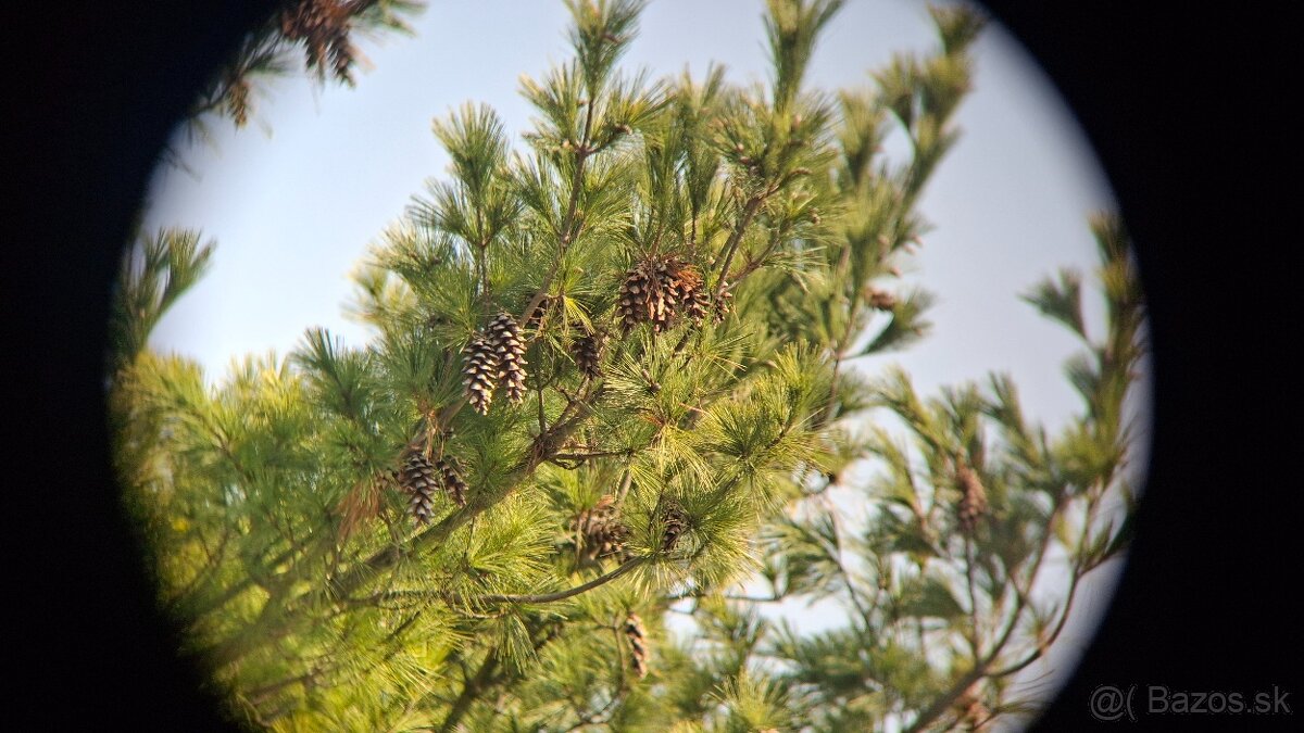 Ďalekohľad BPC 15X50 SOTEM - 13