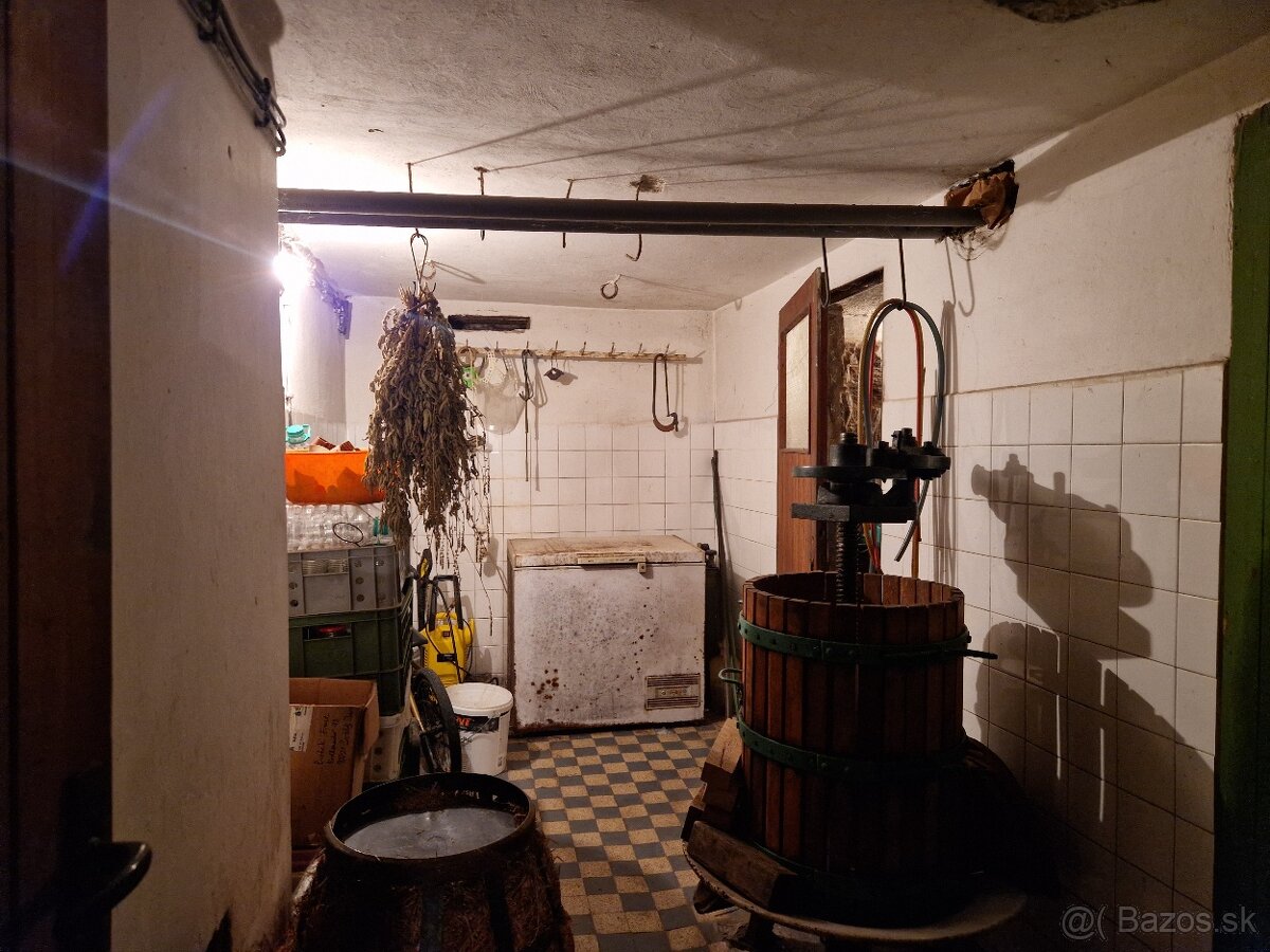 5-IZBOVÝ ROD. DOM A VÝNIMOČNÝ POZEM., NEŠTICH,TOP LOKALITA - 13