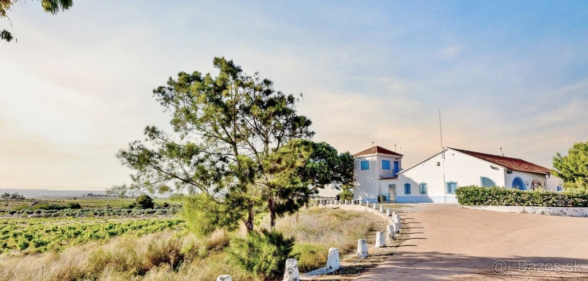 Španělsko – Torrevieja, La Mata (Avenida Torreblanca) - 13