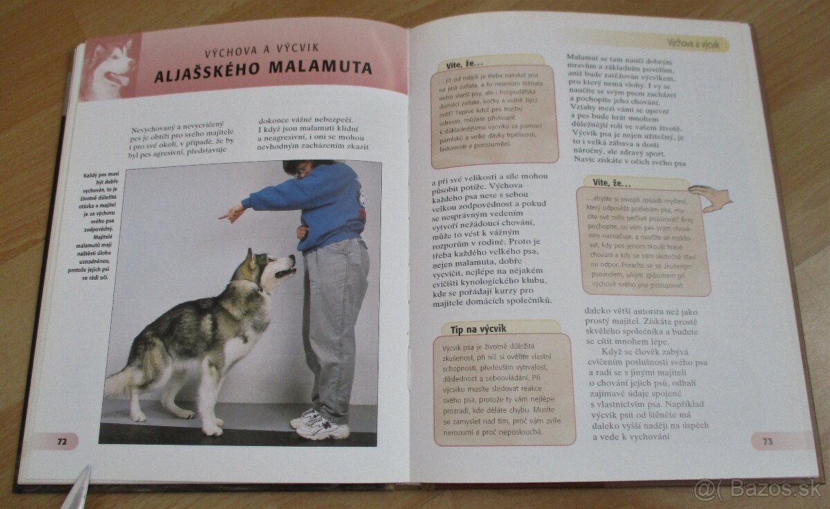 Aljašský malamut - 13