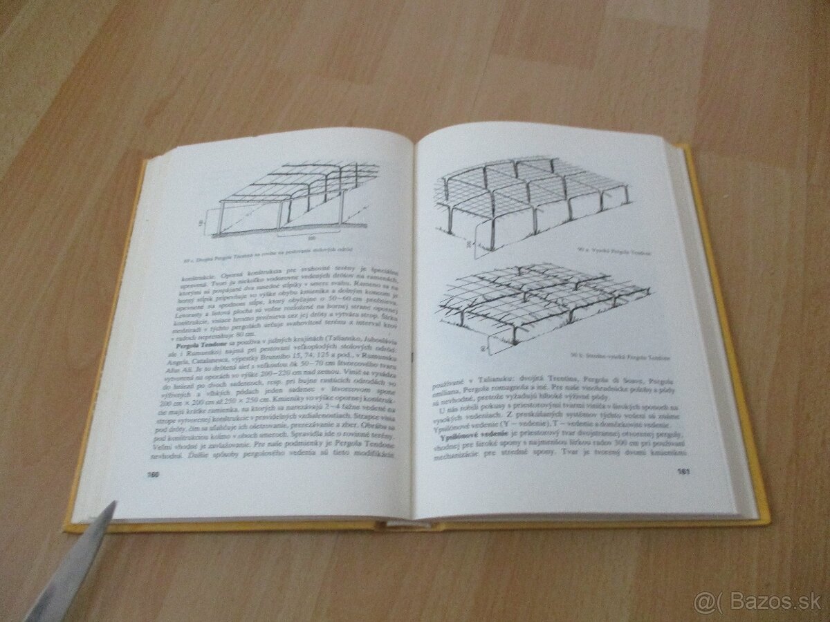 Rez a vedenie viniča - 13