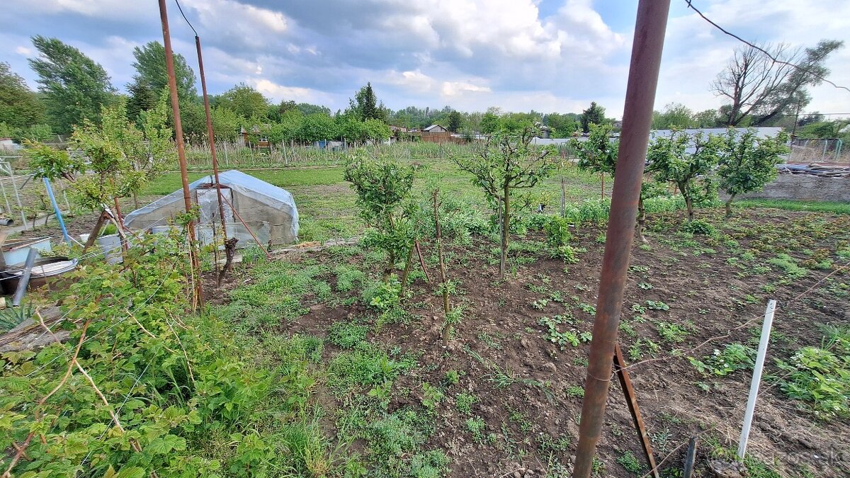‼️AKCIA‼️Predám zahradu s chatou v Štúrove na sutoku Dunaja - 13