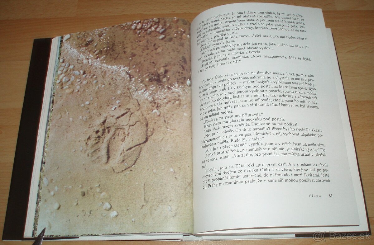 Černý sobol, hnědý medvěd - 13