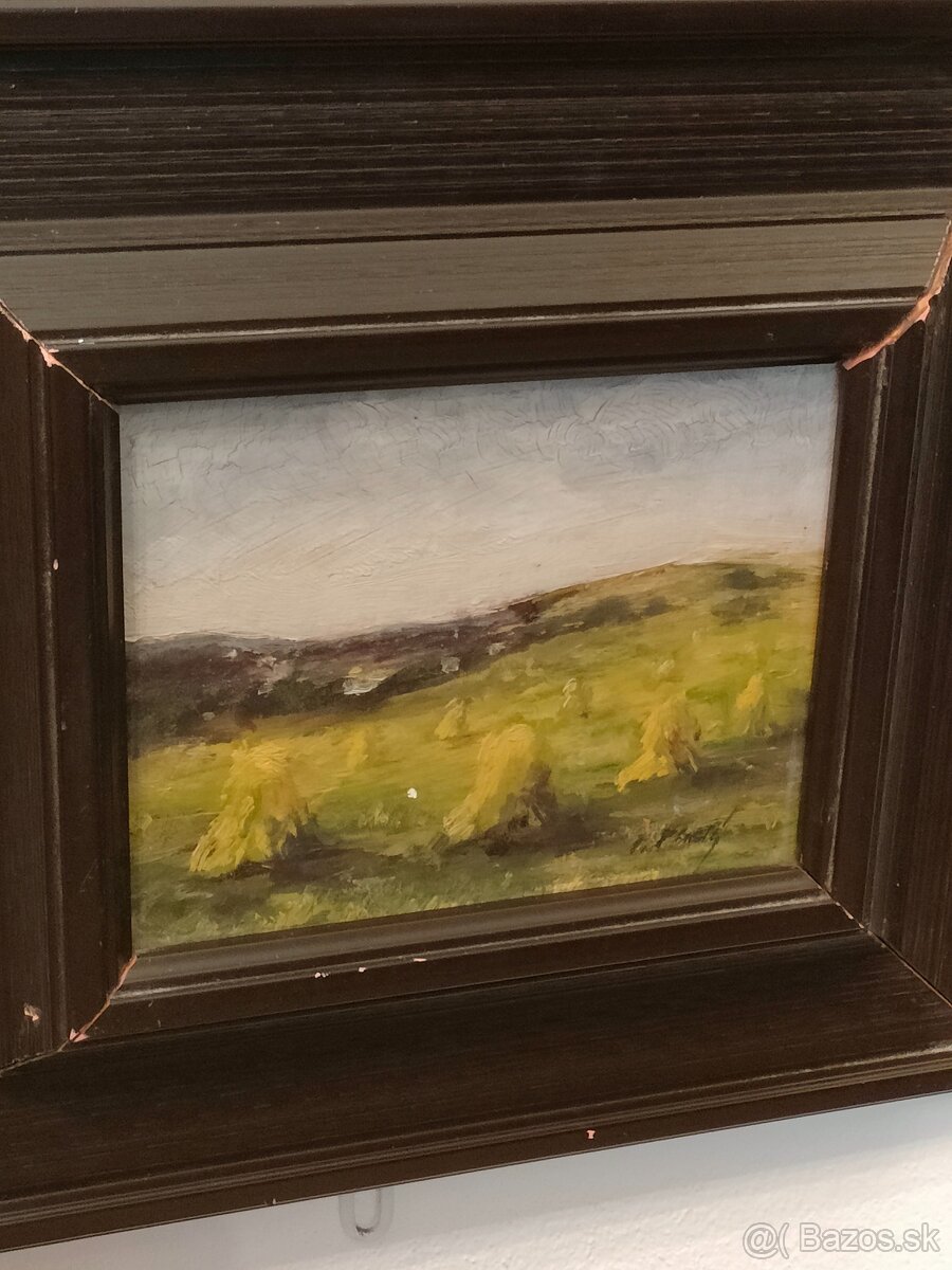 OBRAZY ZA SUPER CENU - 13