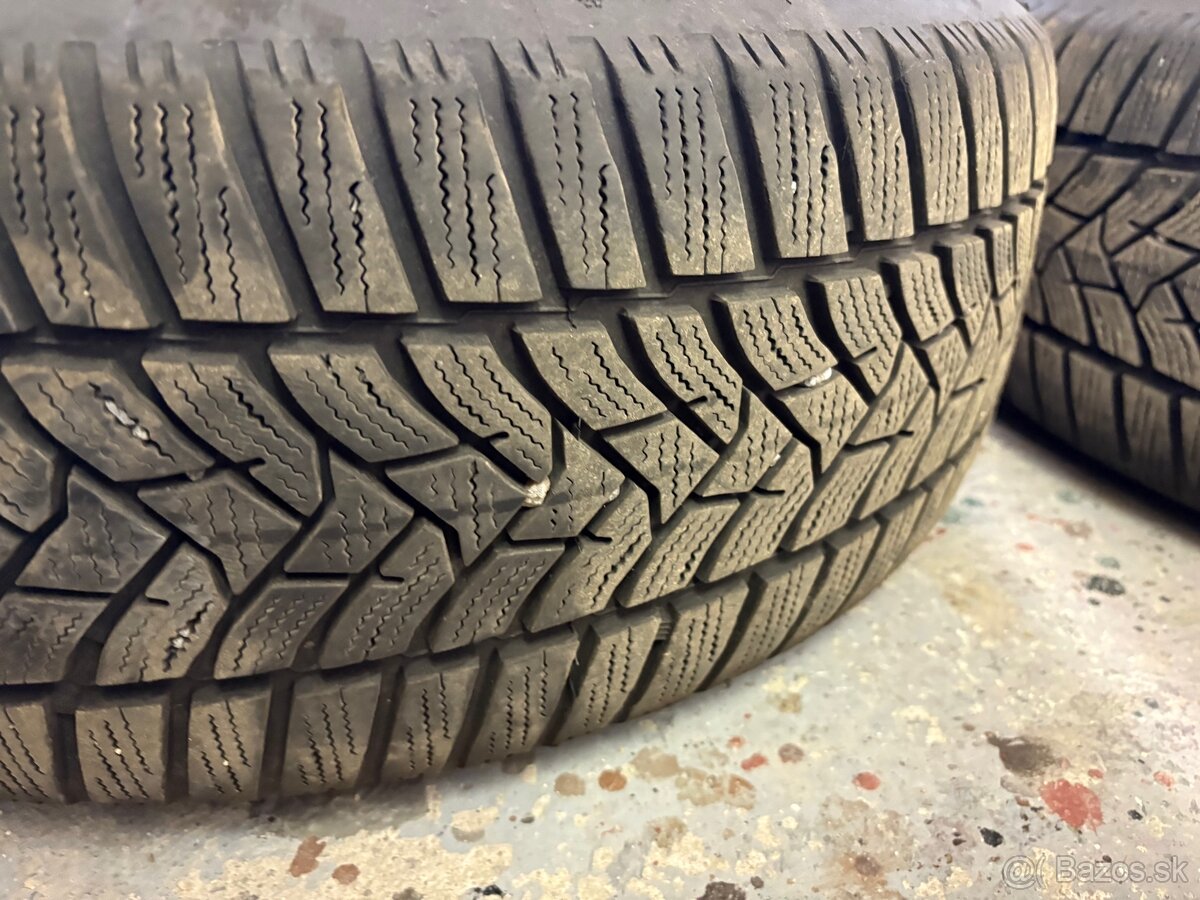 Zimné pneu Dunlop - 13