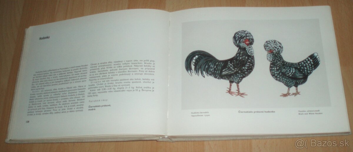 Atlas plemien hydiny - 13