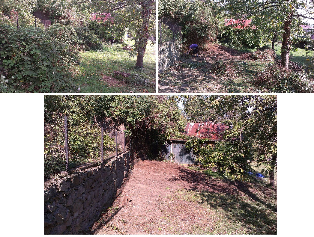 Čistenie zanedbaných pozemkov, údržba pozemkov, kosenie - 13