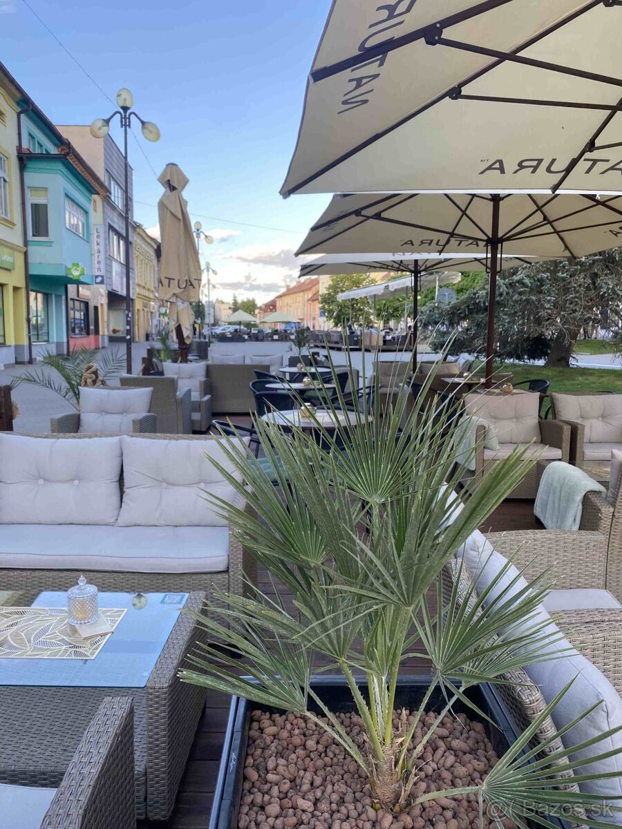 Odstúpenie novej prevádzky v centre mesta Poprad - 13