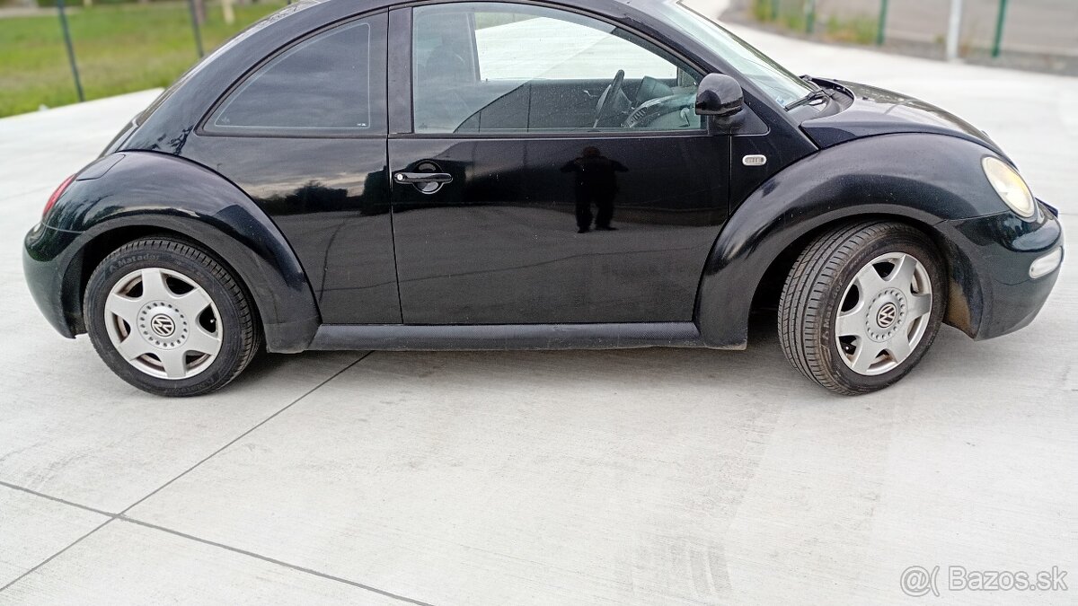 Beetle - 13
